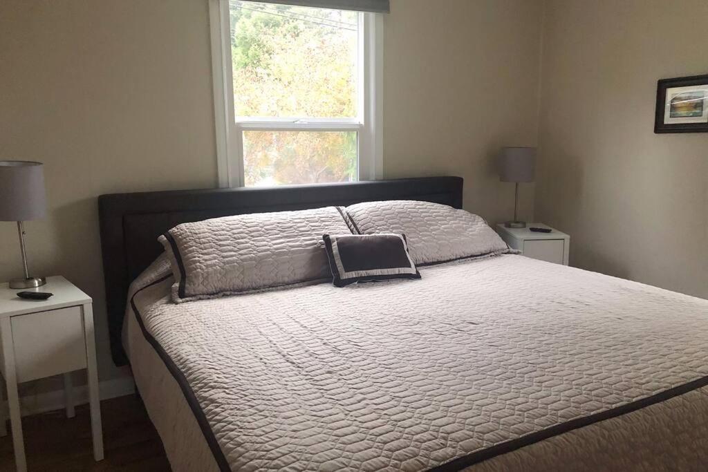 Cozy Crown Hill Carkeek Cottage W/3 Beds, Full Kitchen & Backyard In North Seattle Eksteriør bilde